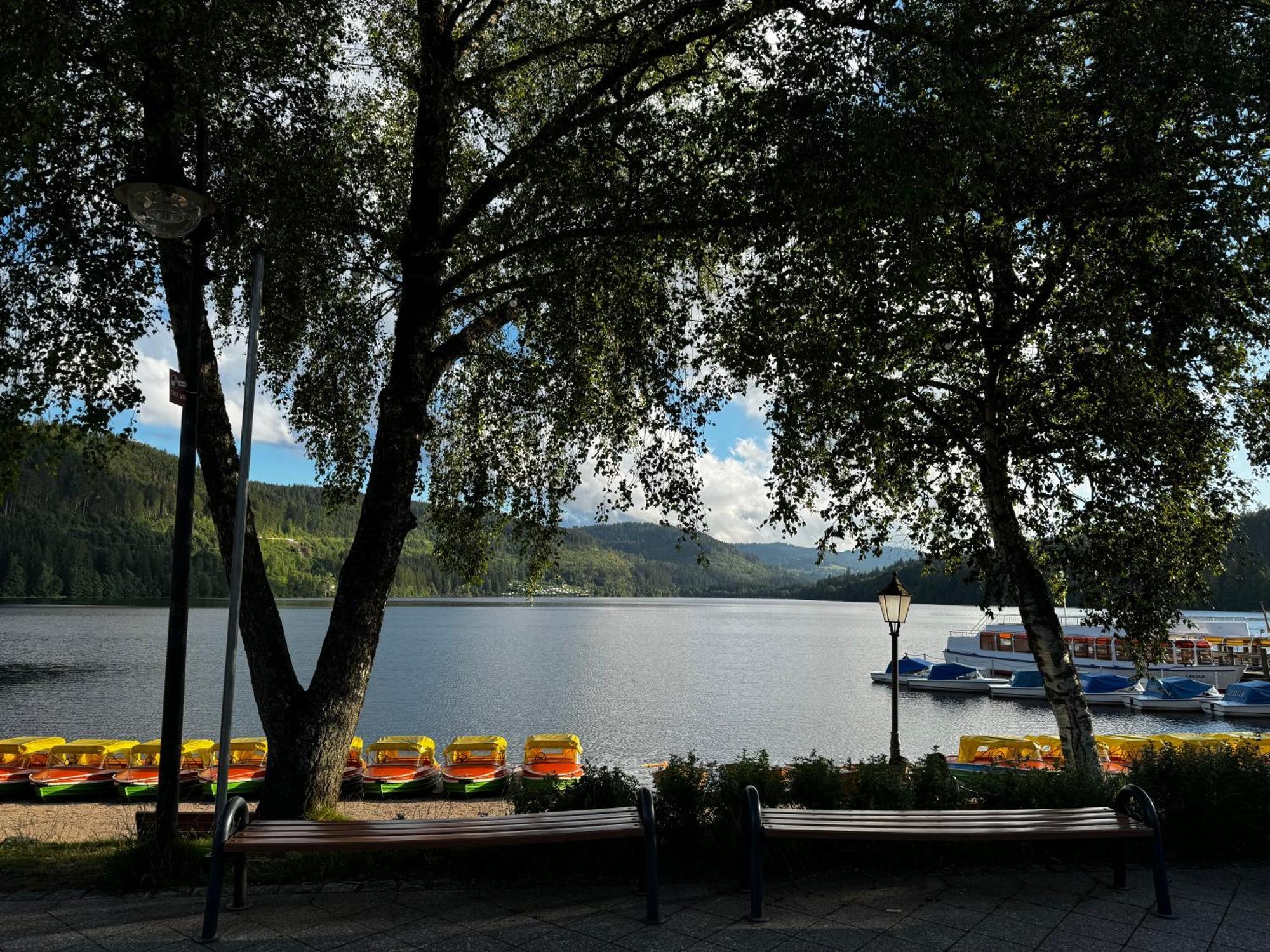 Ferienwohnung Panoramablick Mit Privatparkplatz, 2 Balkone Und 1,5 Baeder Titisee-Neustadt Exterior foto
